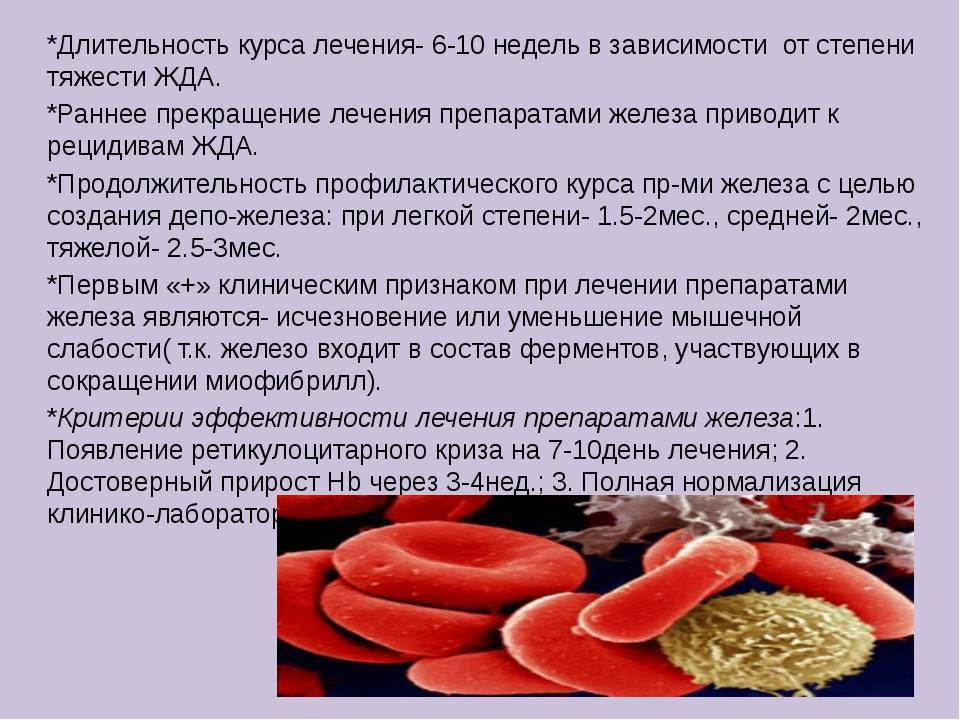Анализ крови на гемоглобин