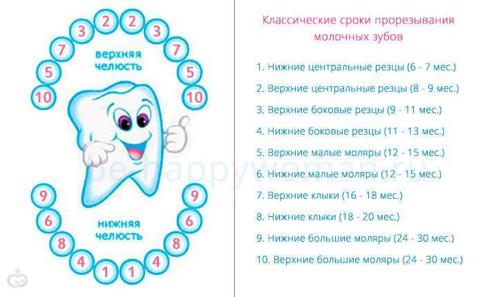 Как защитить молочные зубы от кариеса: меры профилактики - энциклопедия ochkov.net