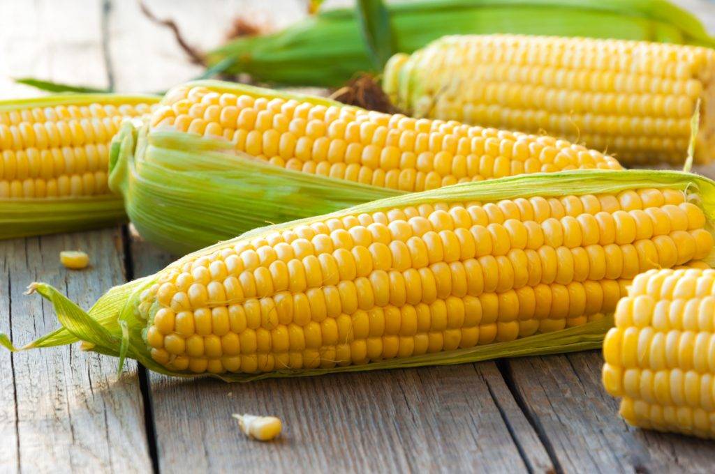 С какого возраста можно давать ребенку кукурузу