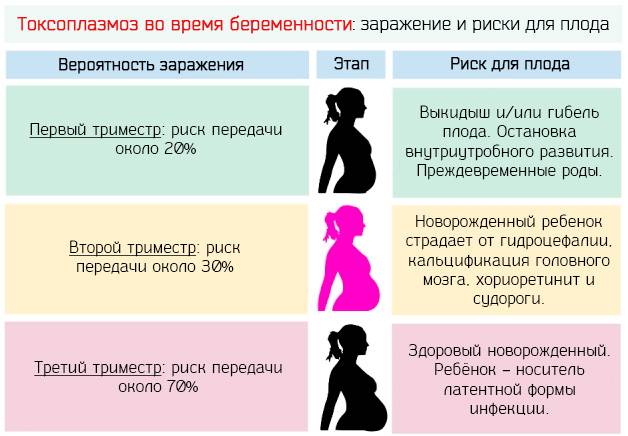 Токсоплазмоз у беременных - симптомы болезни, профилактика и лечение токсоплазмоза у беременных, причины заболевания и его диагностика на eurolab