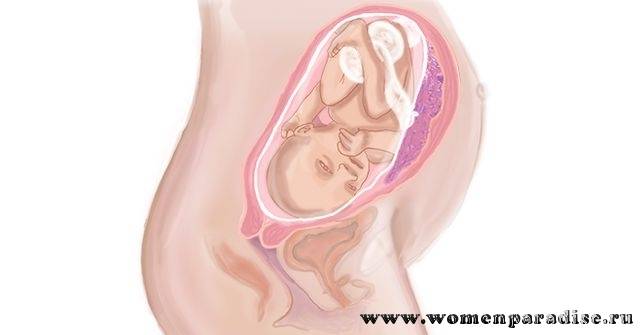 33 неделя беременности: признаки и ощущения женщины, симптомы, развитие плода