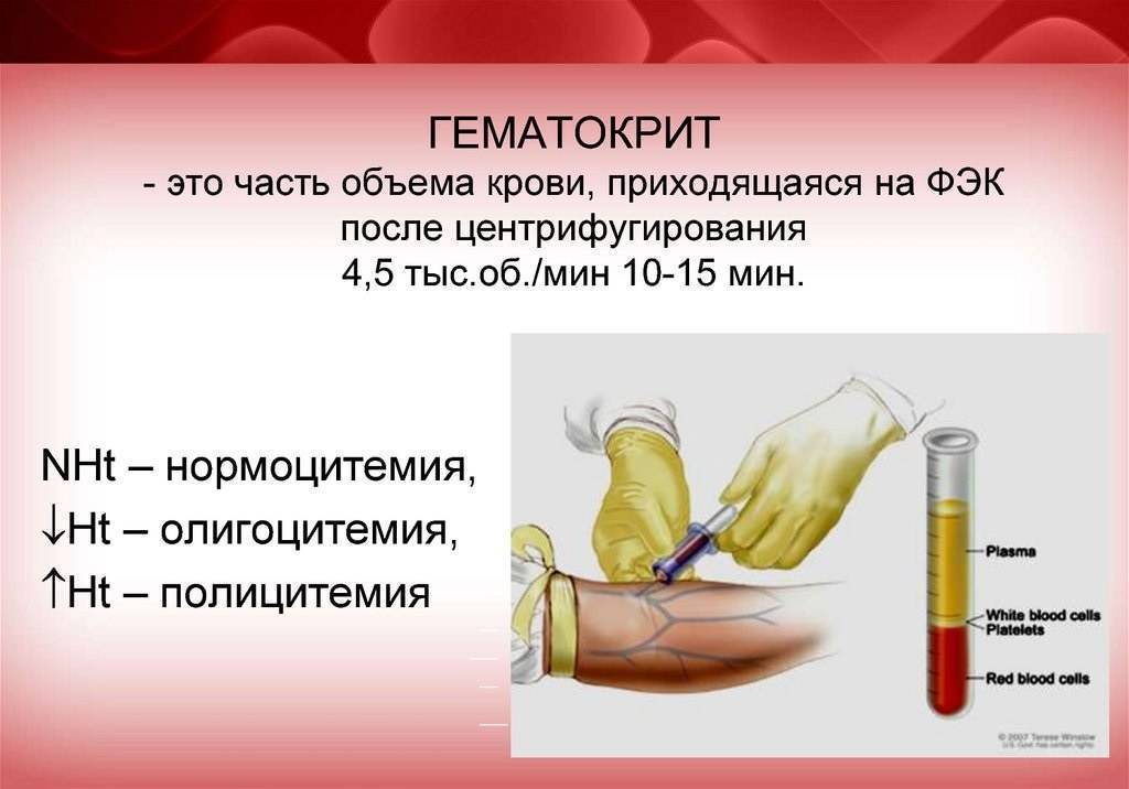 Определение показателя гематокрита в центрифугах нового поколения - labcentrifuge.ru