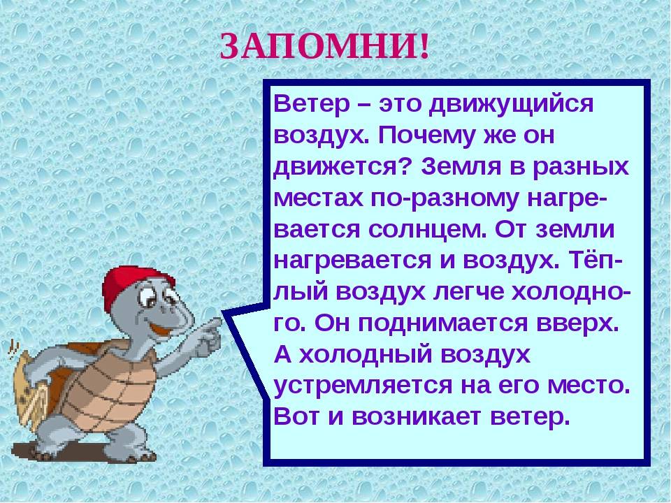 Почему ветер дует с моря на сушу? объяснение для детей :: syl.ru