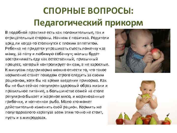 Педагогический прикорм: естественное введение твердой пищи   | материнство - беременность, роды, питание, воспитание