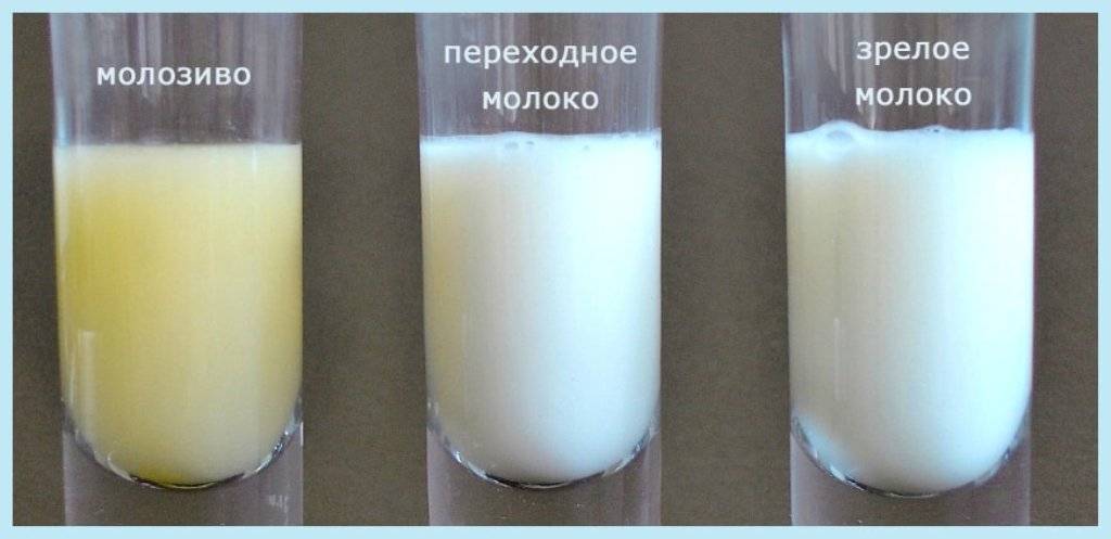 Почему выделяется молозиво у беременных? Норма и отклонения