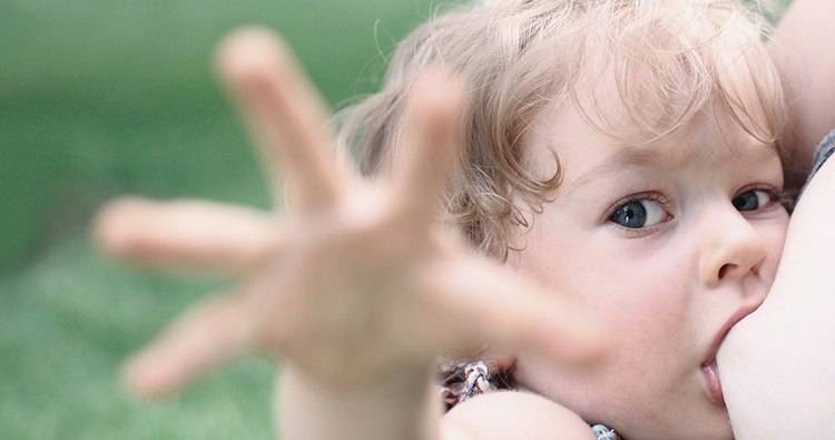 Ребенок бывает кусачим: что делать родителям с проявлениями детской агрессии