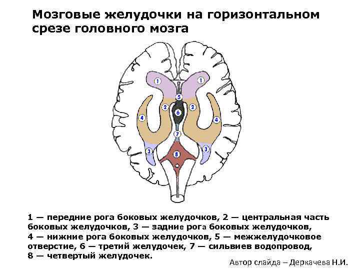 Глиозные изменения головного мозга