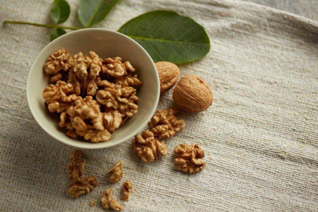 4 полезных свойства грецких орехов при грудном вскармливании