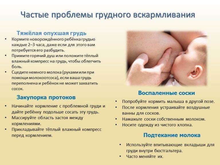 Нужно ли давать воду новорожденному при грудном вскармливании