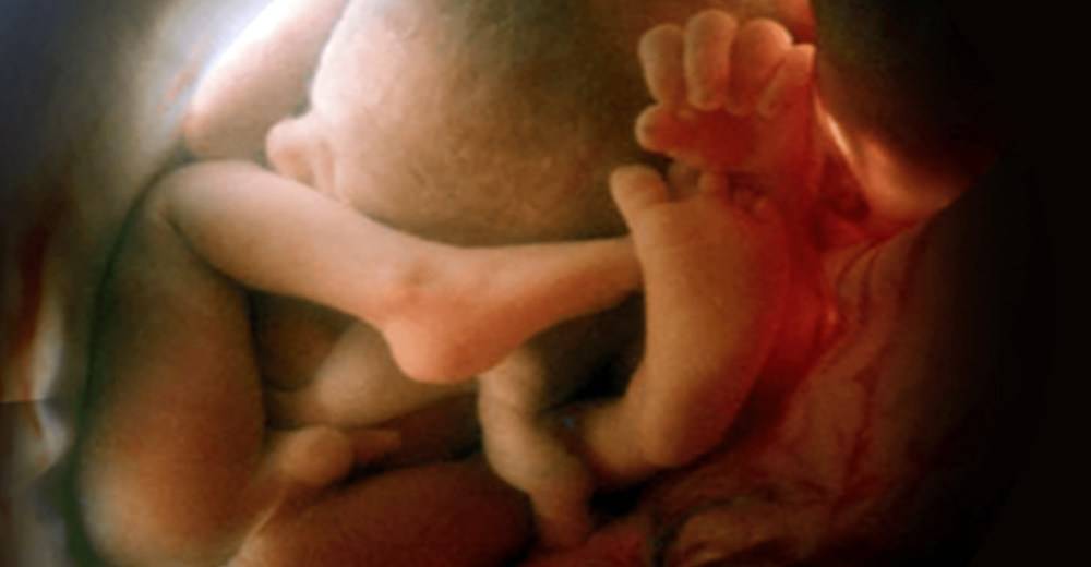 38 неделя беременности: малыш вот-вот появится на свет