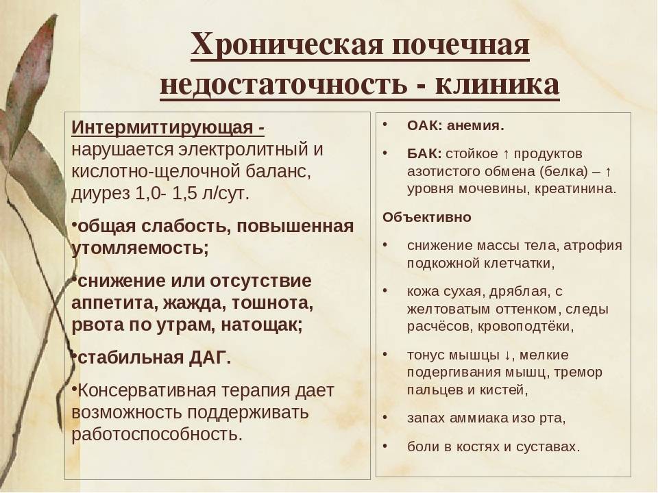 Хроническая почечная недостаточность клиническая картина