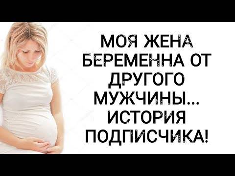 ᐉ что жена беременна. что делать если жена беременна - ➡ sp-kupavna.ru