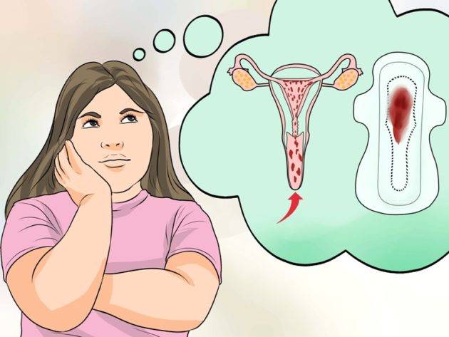 Первые разъяснения девочкам про менструацию