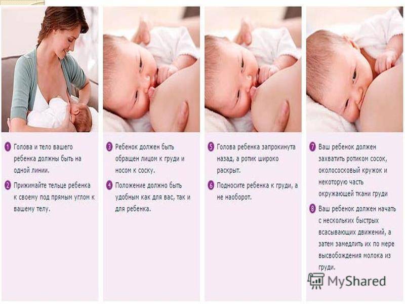 Позы для кормления грудью: лучше позы при гв на сайте твой малыш