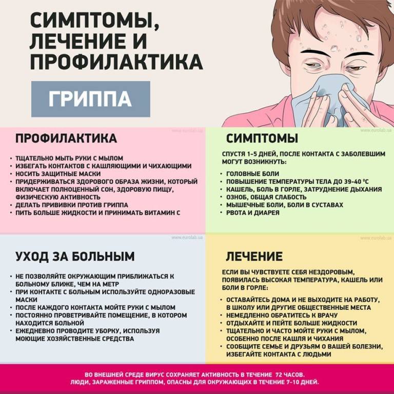 Норовирус (норовирусная инфекция): симптомы и лечение – напоправку – напоправку