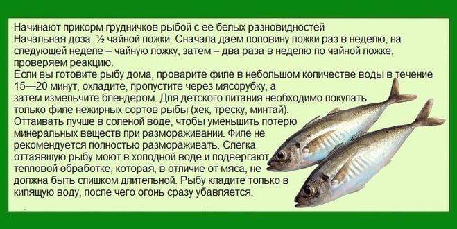 Прикорм: особенности введеня рыбы в рацион ребенка