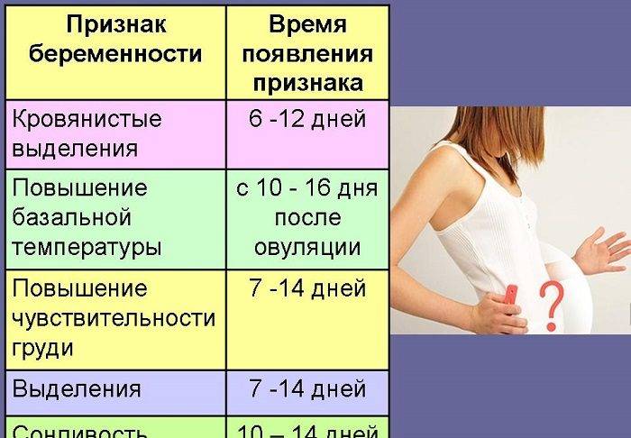Симптомы беременности в первые дни после зачатия: ощущения, что происходит