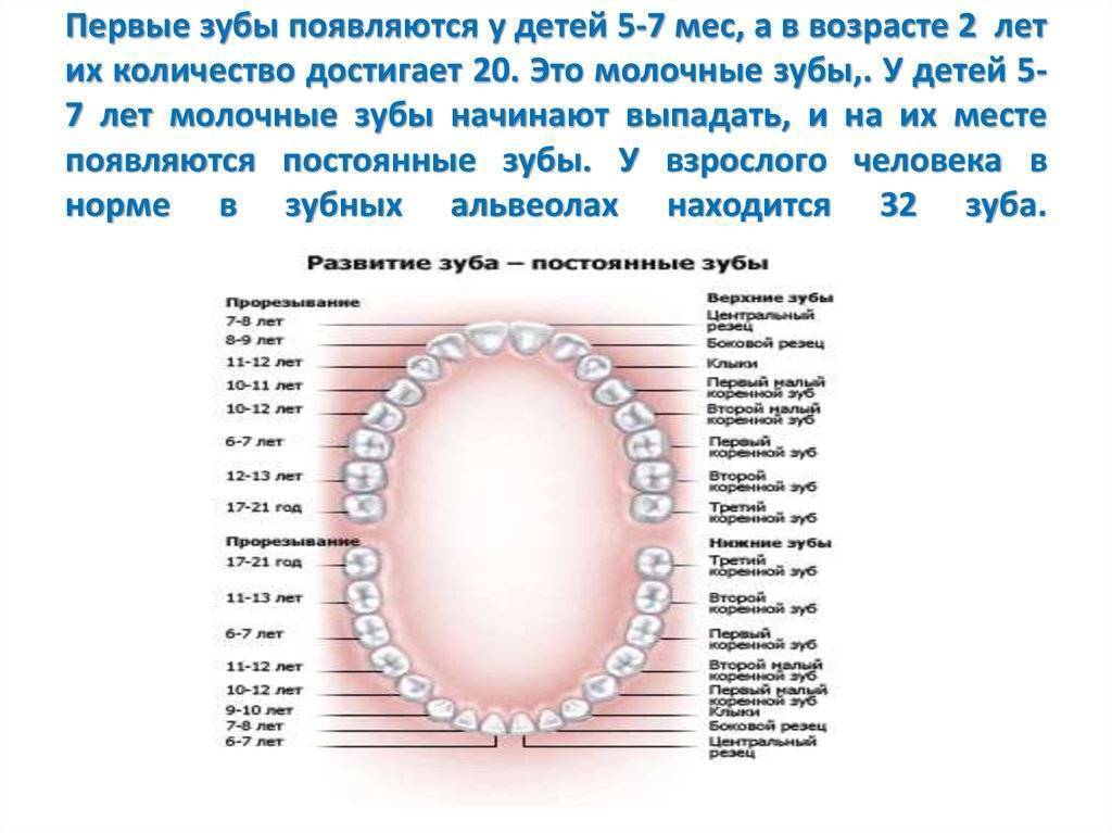 Лечение молочных зубов: этапы, способы и цены