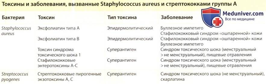 Золотистый стафилококк у детей в носу или горле - лечение и диагностика в  москве по доступной цене
