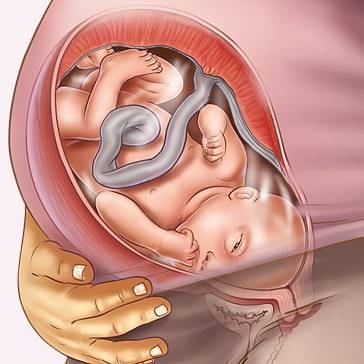 Беременность — 25 недель. ощущения на 6 месяце беременности