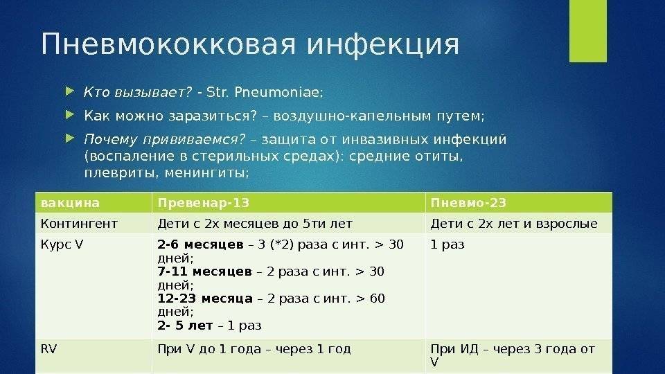 Пневмококк сколько прививок. Вакцина против пневмококковой инфекции схема. Пневмококковая инфекция вакцинация схема. Вакцинация против пневмококка взрослым схема. Вакцина от пневмококка схема вакцинации.