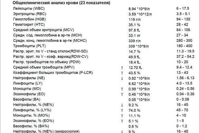 Общий анализ крови - зачем он нужен и что покажет?