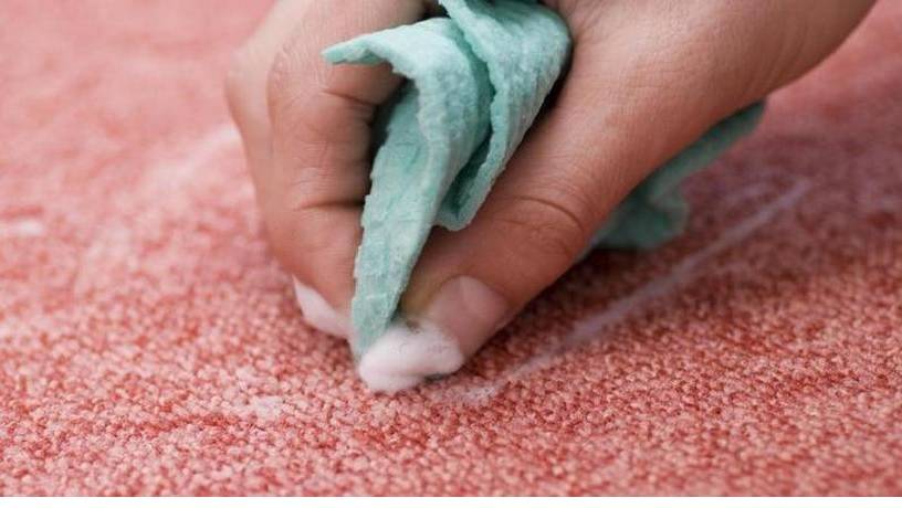 Как избавиться от запаха мочи на ковре: 9 эффективных средств
