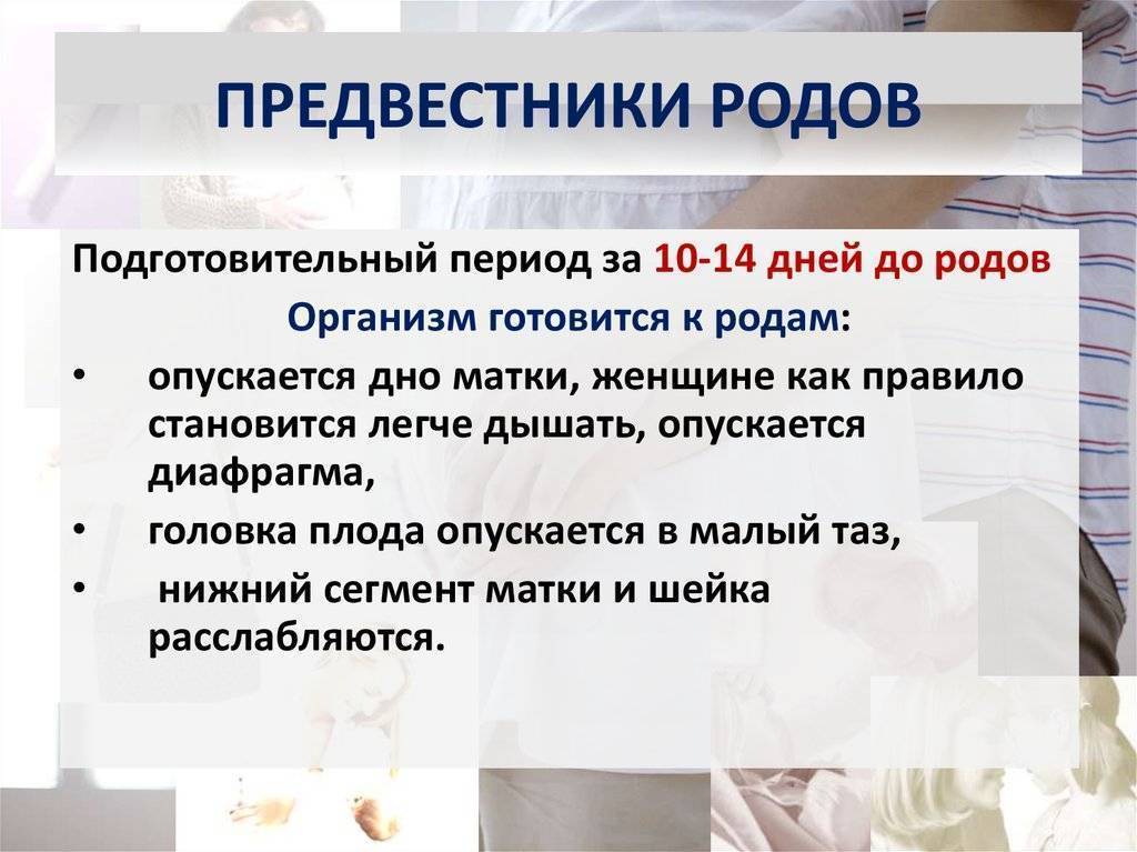 Что означает раскрытие шейки матки от 1 до 4 пальцев?