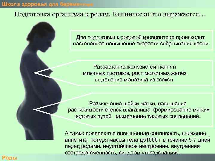 Планирование беременности: как подготовиться к рождению ребенка. как подготовиться к рождению ребенка? элевит пронаталь