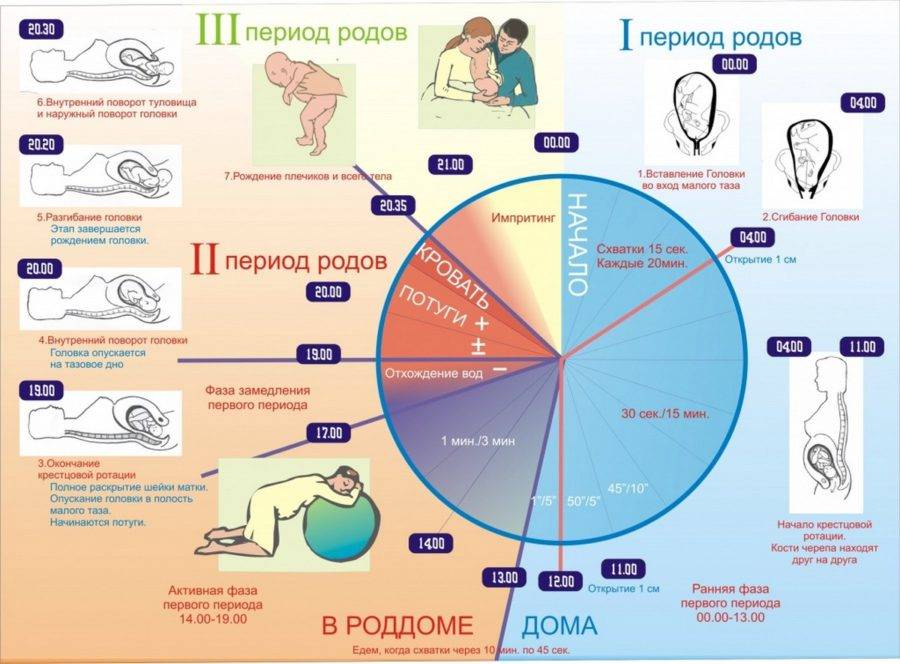 Когда ехать в роддом при схватках?