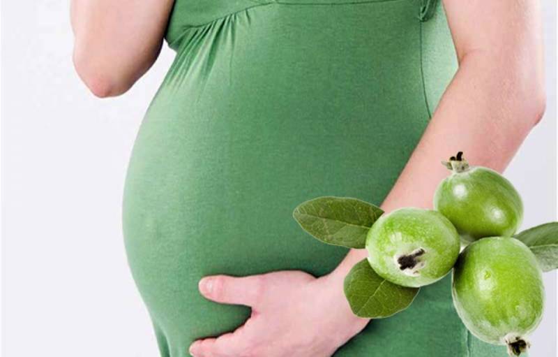 Грейпфрут при беременности