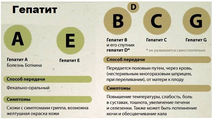 Вирусные гепатиты – чего опасаться и как уберечься