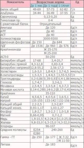 Эритроциты в анализах крови (rbc). норма и отклонения