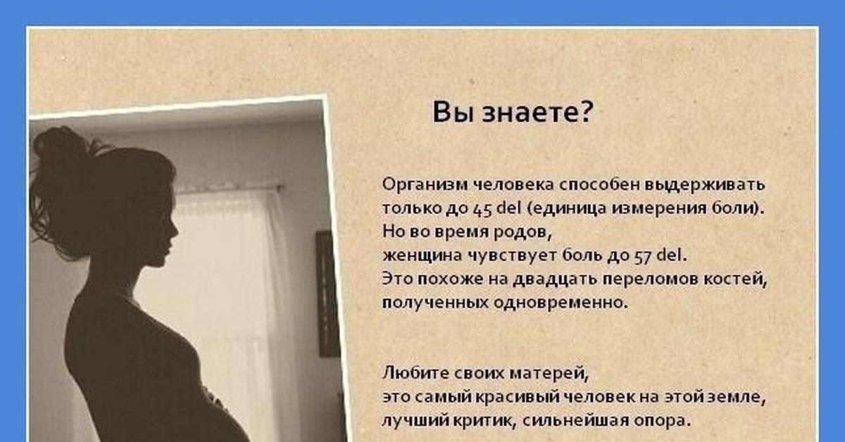 Алексей булаев: отмазки о том, что это «не наши» полномочия, не выдерживают никакой критики