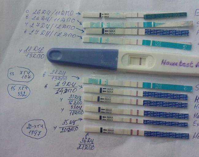 Покажет ли тест беременность до задержки
