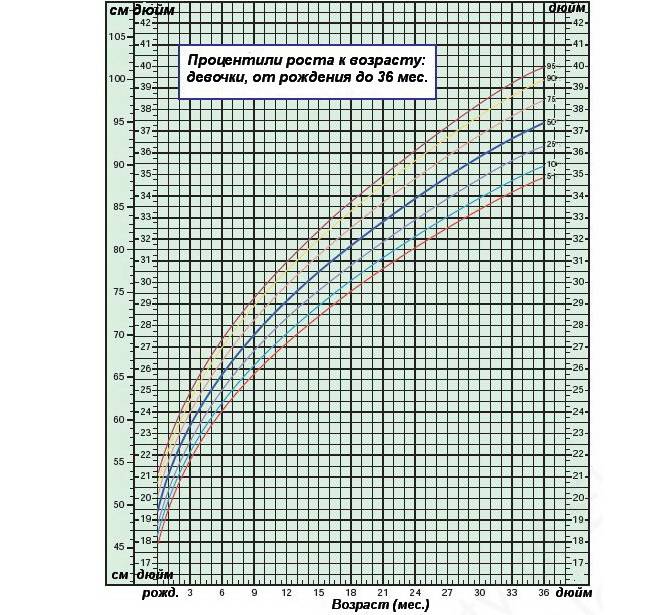 Рост и вес ребенка в 3 месяца: показатели нормы в таблице