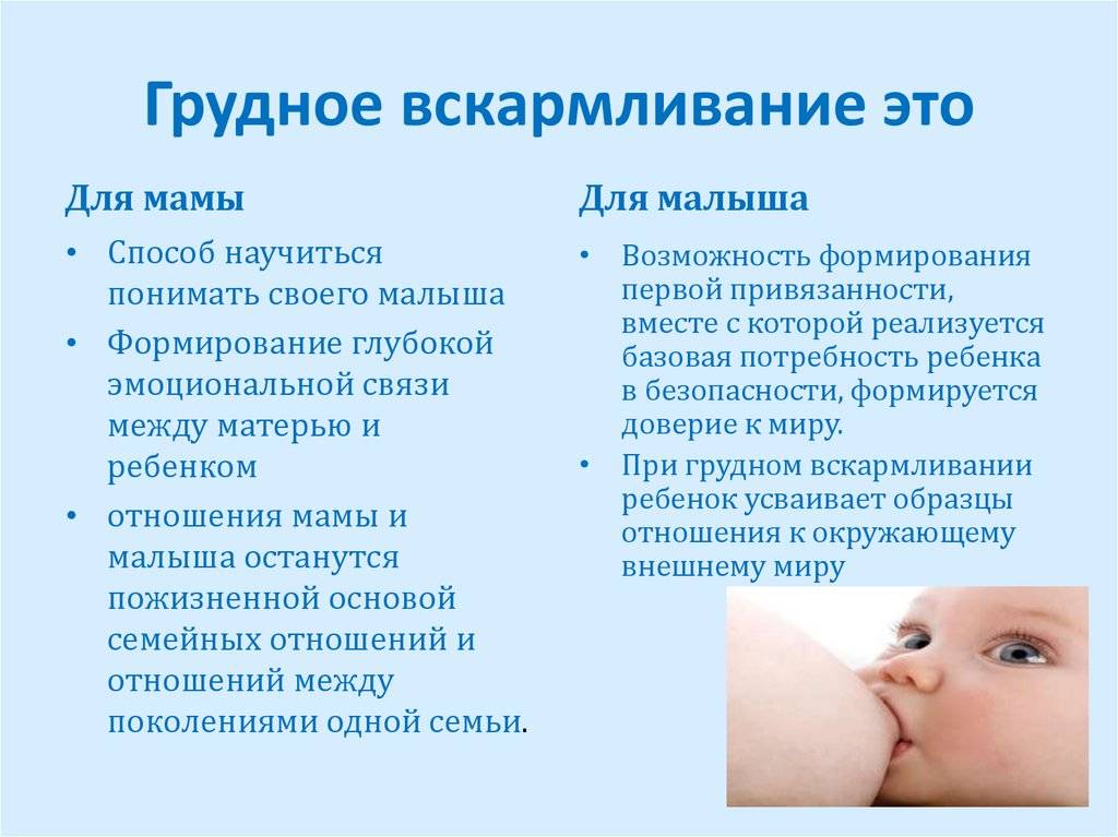 Как правильно кормить новорожденного кроху грудным молоком