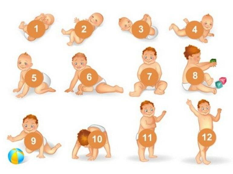 Развитие ребенка в 1 год 9 месяцев: что умеет ваш малыш?