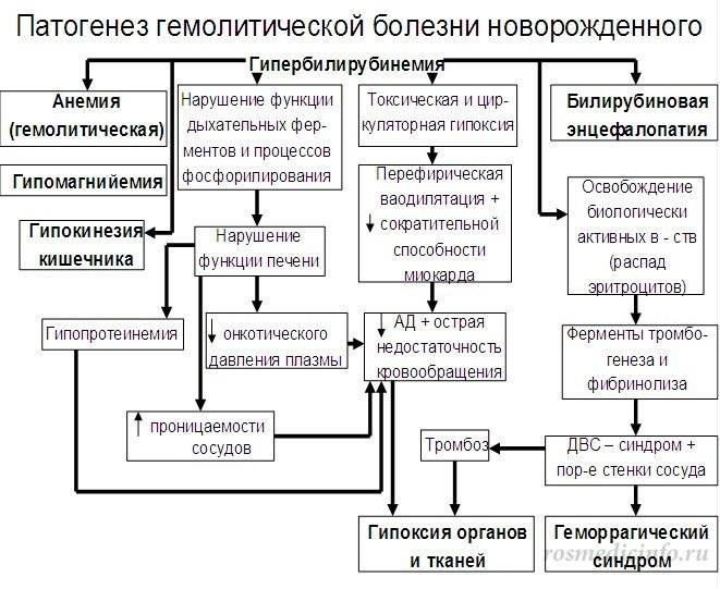 Гемолитическая болезнь новорождённых — большая медицинская энциклопедия