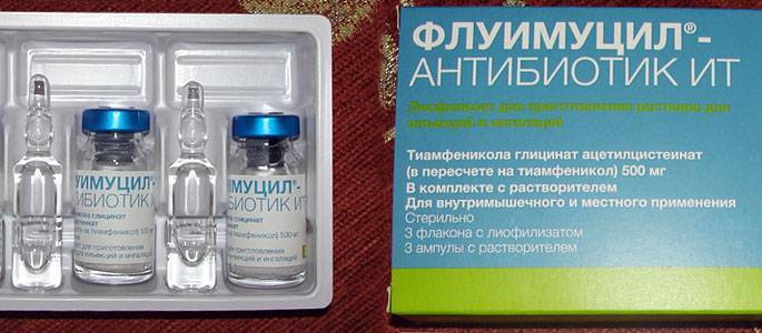 Флуимуцил®  антибиотик  ит
