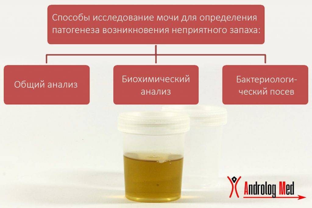 Моча пахнет аммиаком у ребенка - причины и лечение