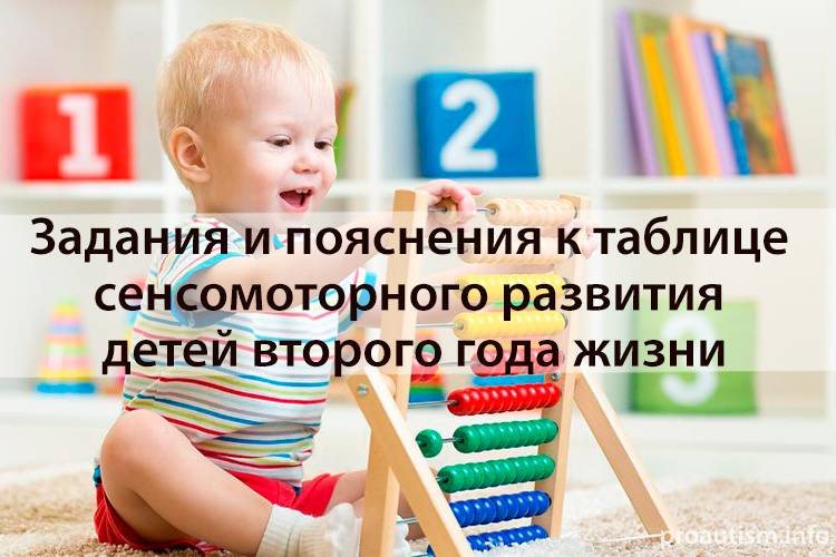 Развитие детей в возрасте 2 лет. что должен уметь делать ребенок в два года?