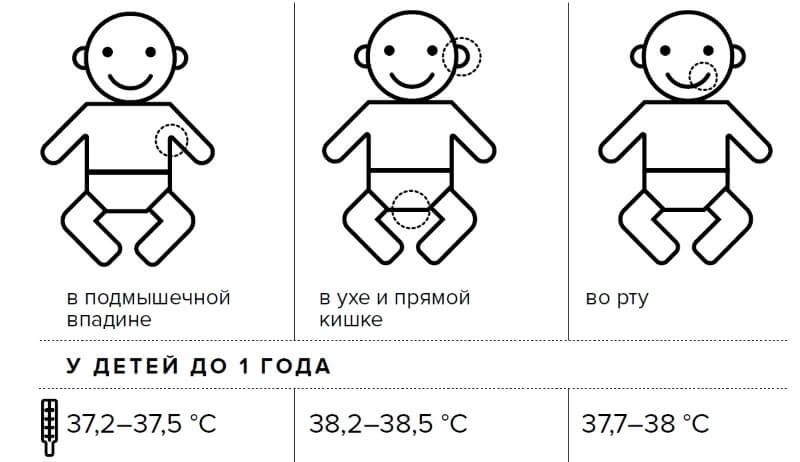 1. температура тела и терморегуляция у ребенка