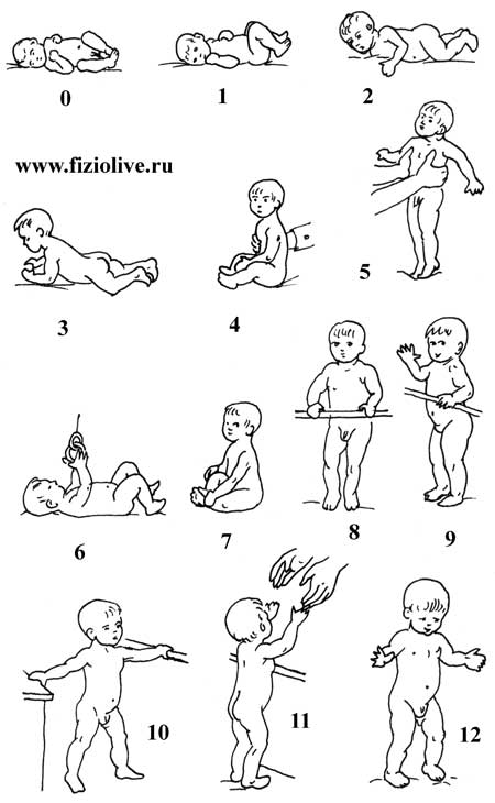 Массаж номер 10 для грудничков общий: для чего, как выполнять, возраст в котором нужно его делать (3, 6, 9, 12 месяцев) малышам