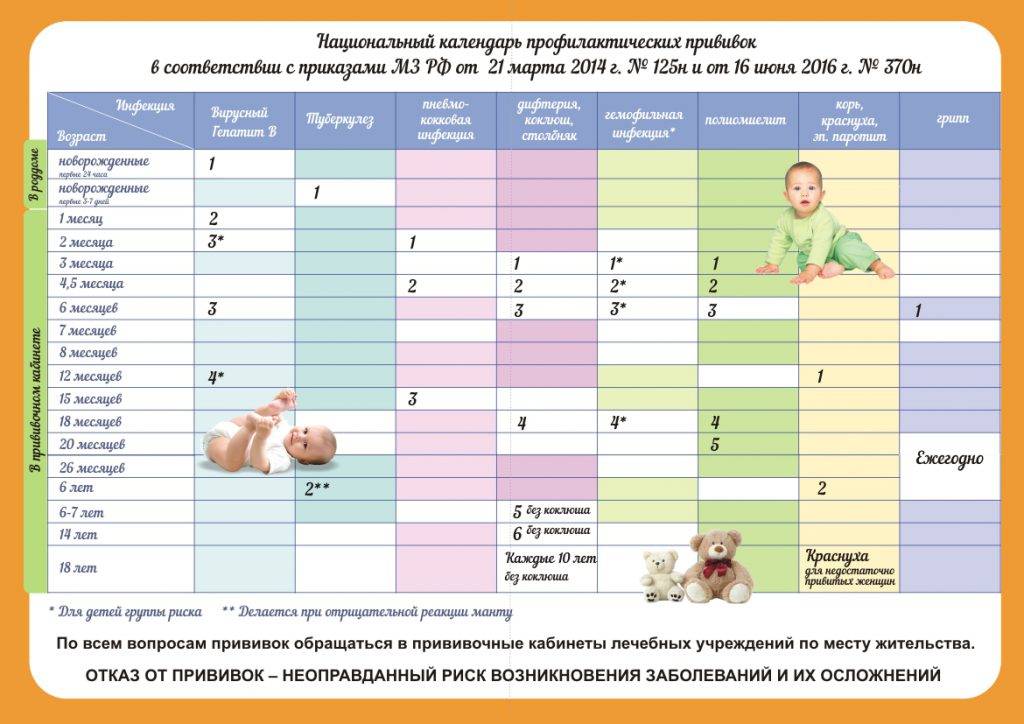 Календарь прививок для детей до 1 года с графиком по месяцам - какую вакцинацию делают в россии?