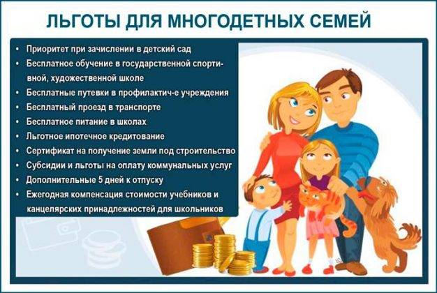 С какими проблемами в 2020 году сталкивались многодетные семьи в россии - rt на русском