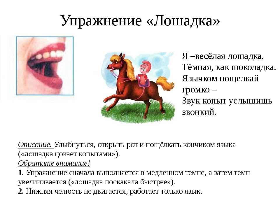 Устранение горлового произношения звука «р»: пошаговая работа