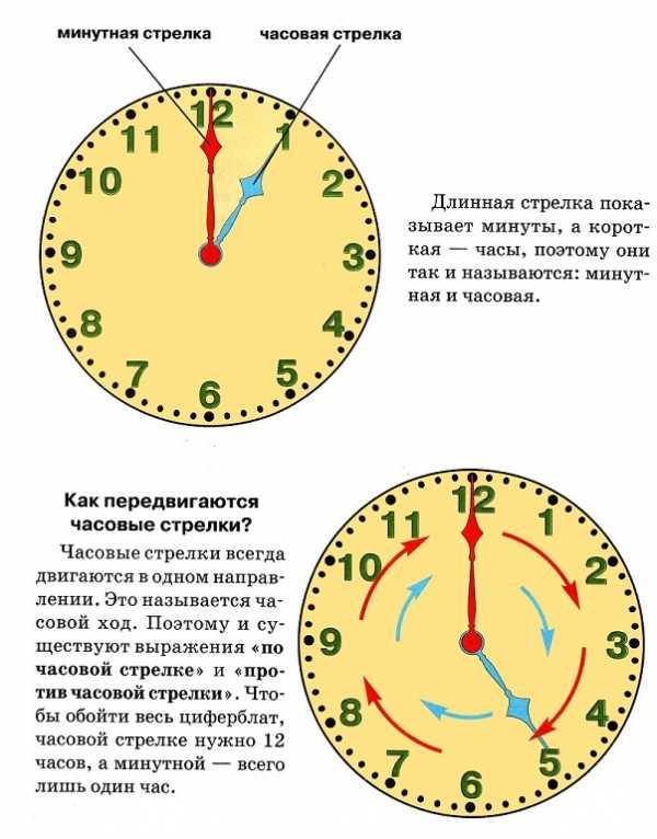 Как быстро научить ребенка понимать время по часам? советы, методики, упражнения | развитие ребенка
