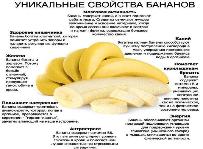 Бананы при грудном вскармливании: можно ли кормящей маме в первый месяц и другие особенности употребления при лактации