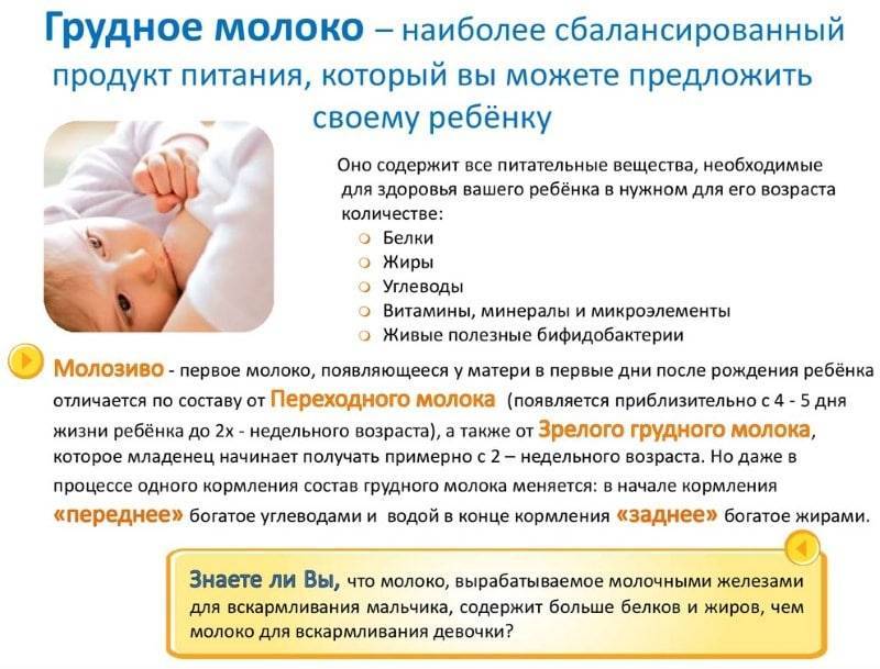 Как вернуть молоко кормящей маме. как восстановить лактацию грудного молока